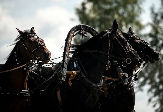 Russia Equestrian Festival