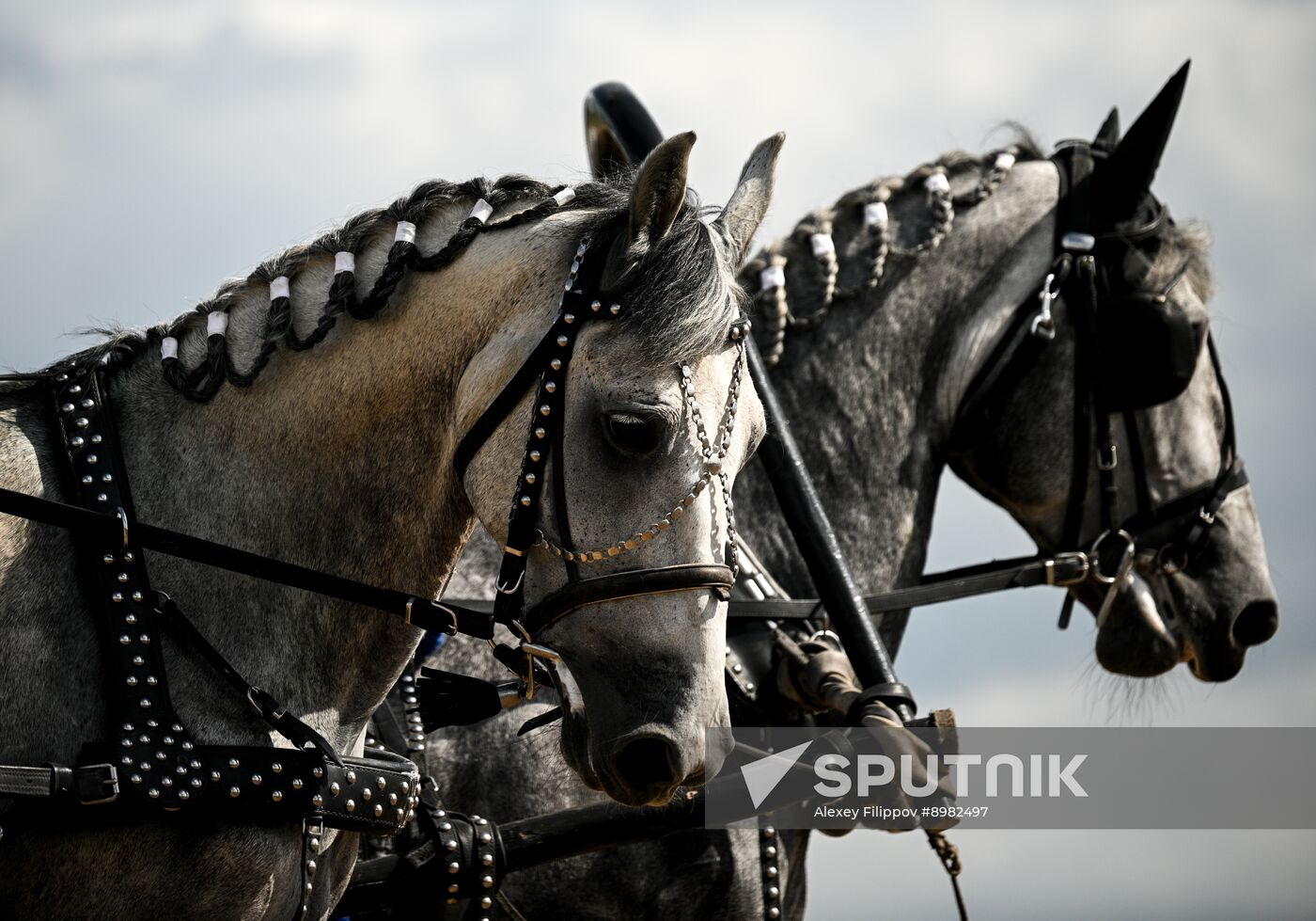 Russia Equestrian Festival
