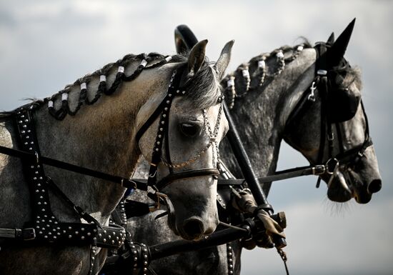 Russia Equestrian Festival