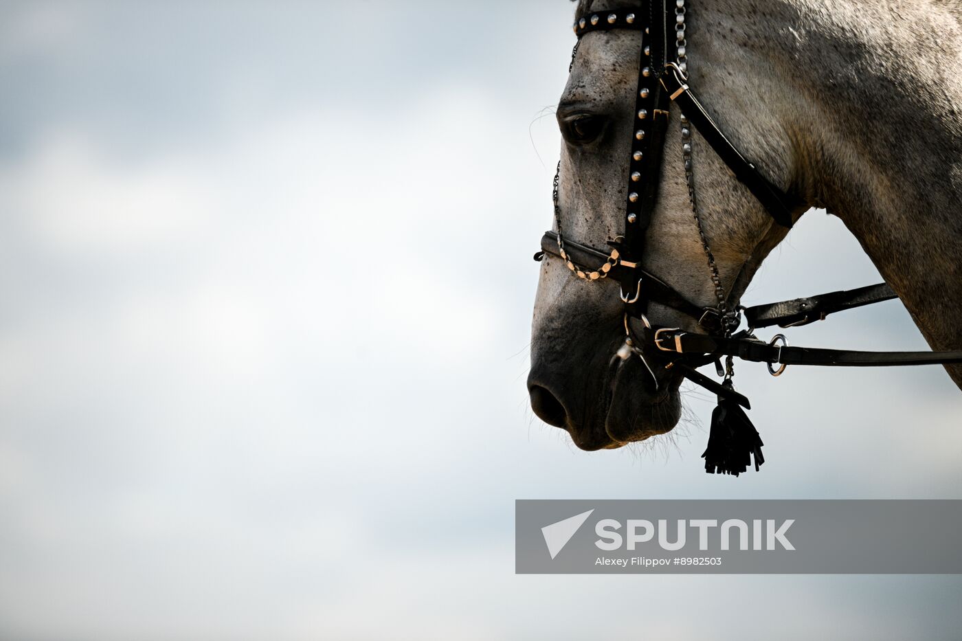 Russia Equestrian Festival