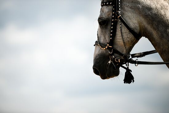 Russia Equestrian Festival