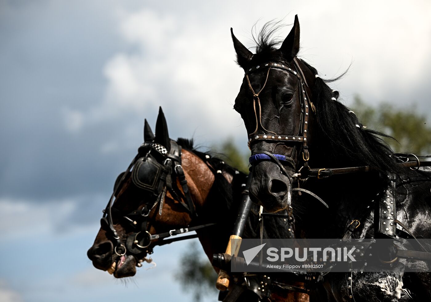 Russia Equestrian Festival