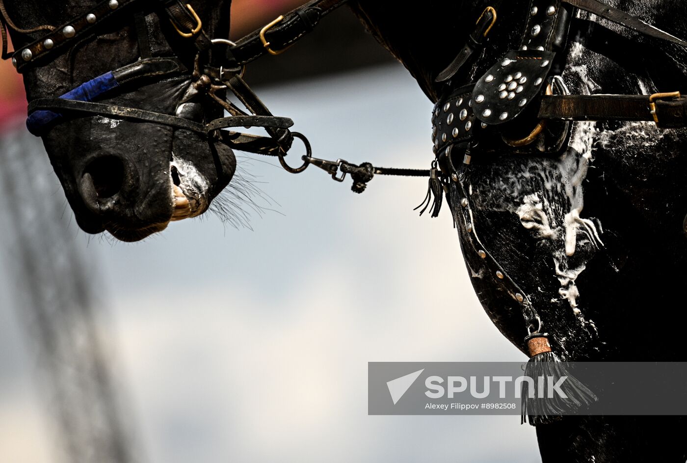 Russia Equestrian Festival