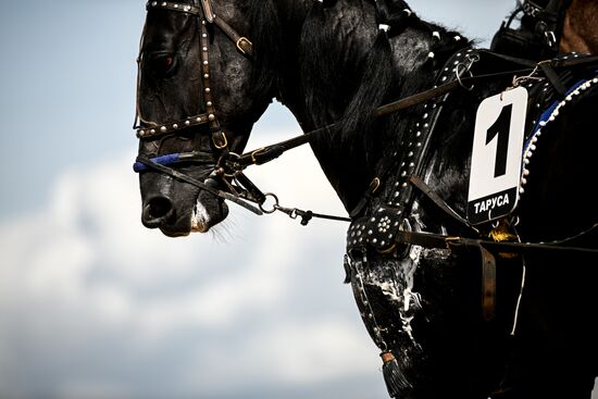 Russia Equestrian Festival