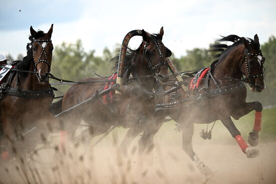 Russia Equestrian Festival