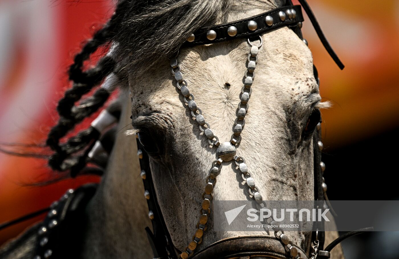 Russia Equestrian Festival