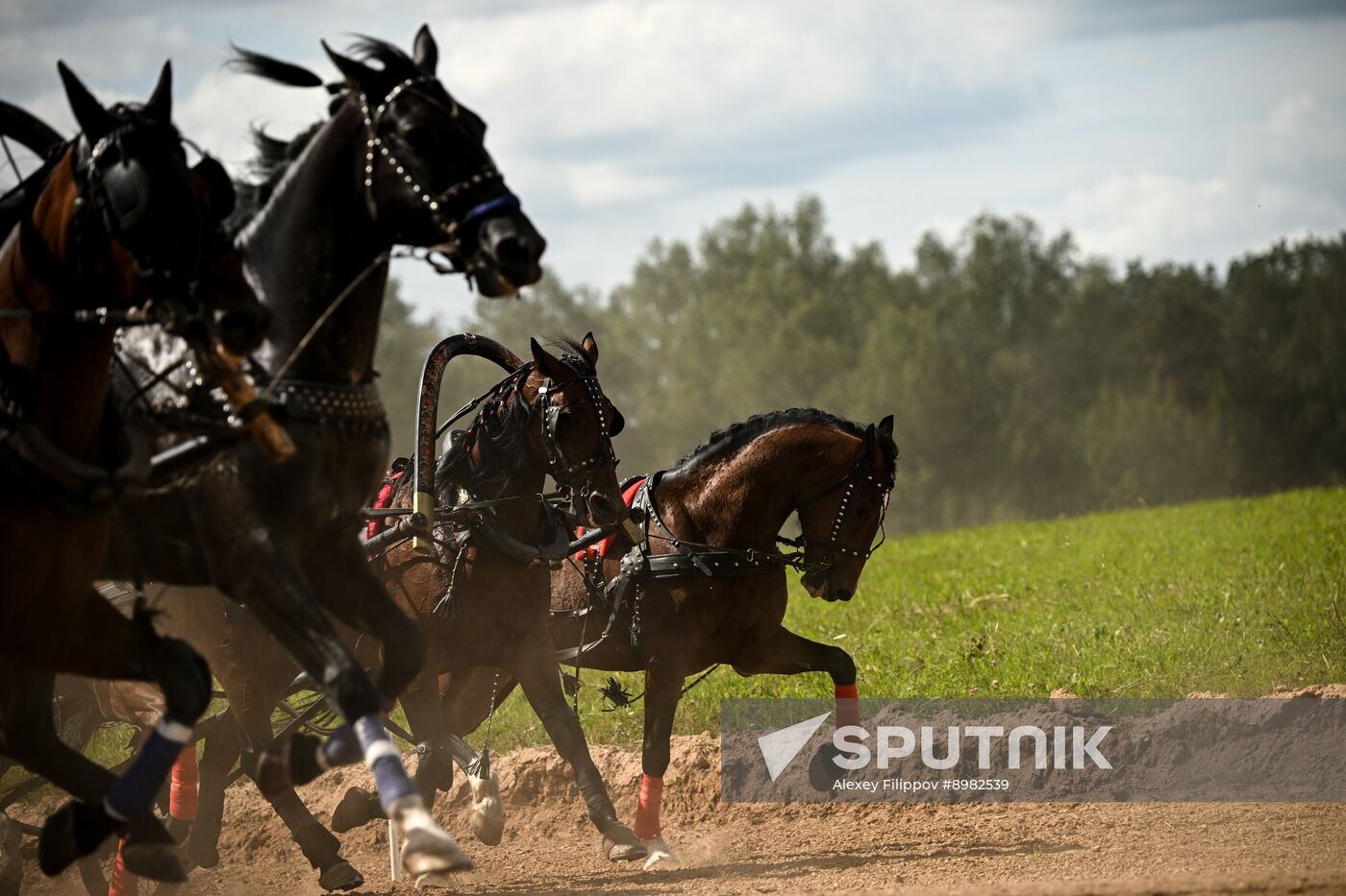 Russia Equestrian Festival