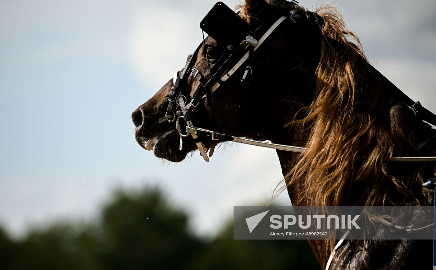 Russia Equestrian Festival