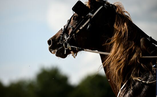 Russia Equestrian Festival