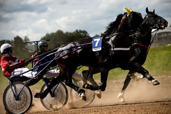 Russia Equestrian Festival