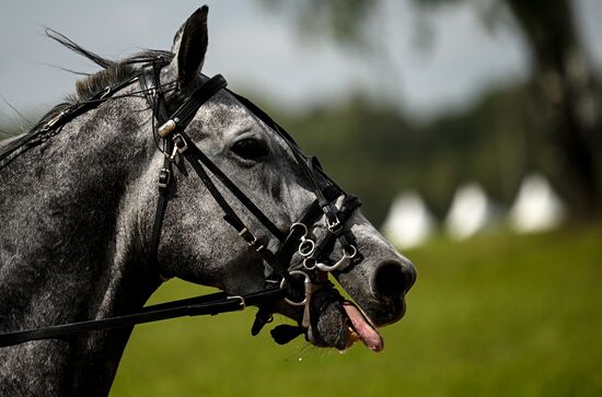 Russia Equestrian Festival