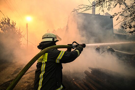 Russia LPR Wildfire