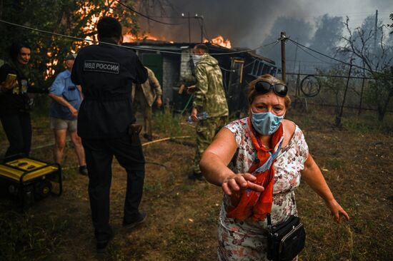 Russia LPR Wildfire