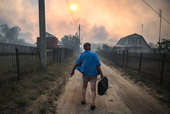 Russia LPR Wildfire