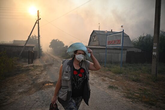 Russia LPR Wildfire