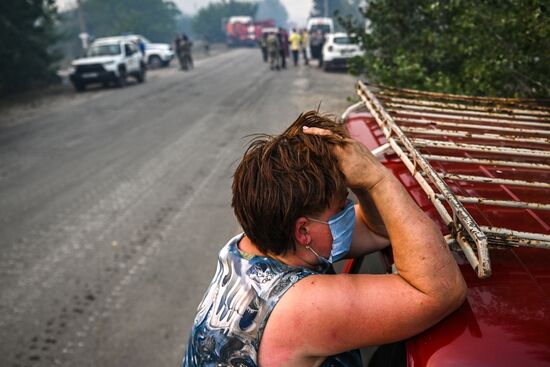 Russia LPR Wildfire