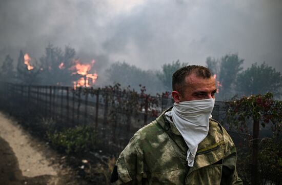 Russia LPR Wildfire