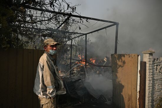 Russia LPR Wildfire