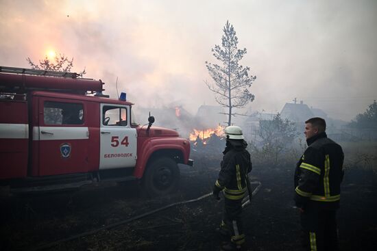 Russia LPR Wildfire