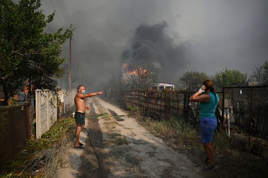 Russia LPR Wildfire