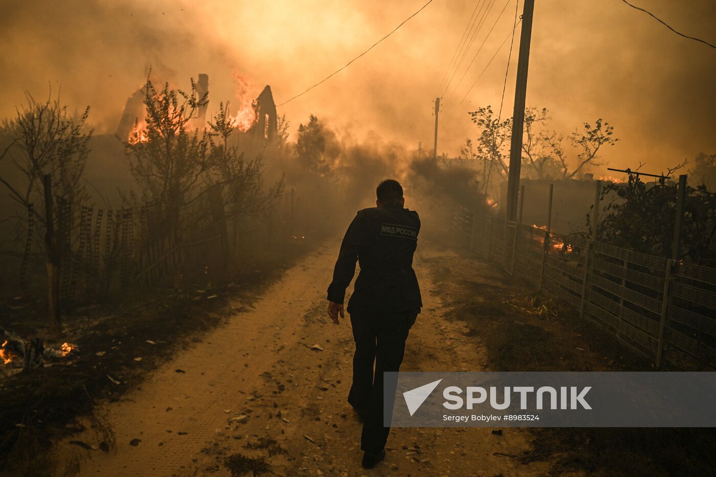 Russia LPR Wildfire