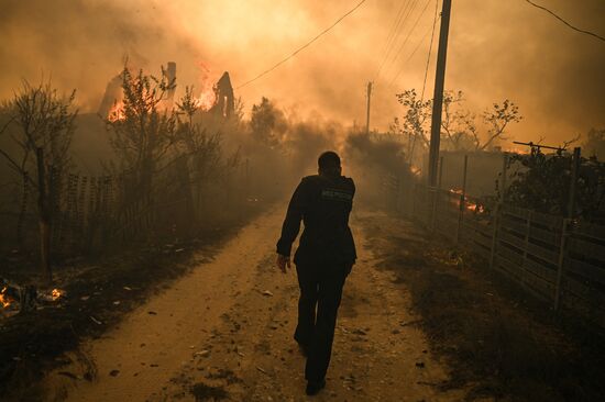 Russia LPR Wildfire