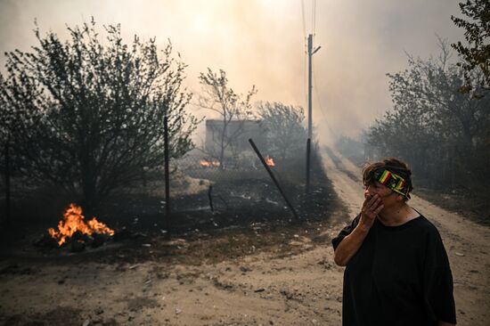 Russia LPR Wildfire