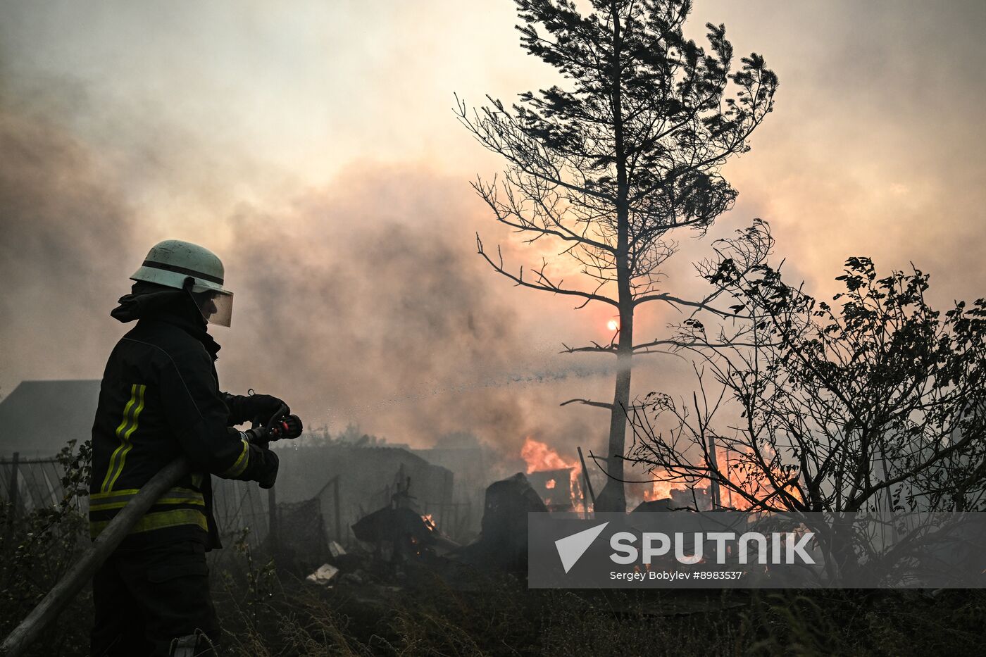 Russia LPR Wildfire