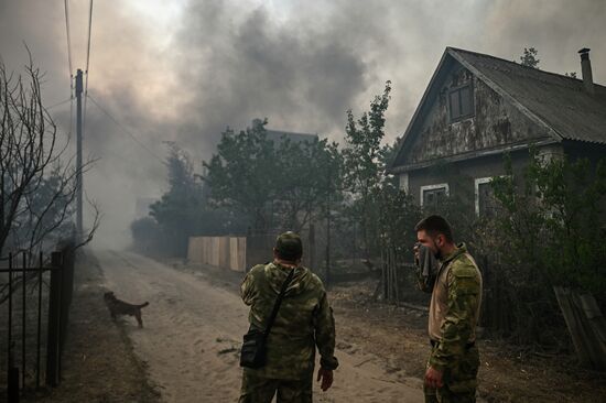 Russia LPR Wildfire