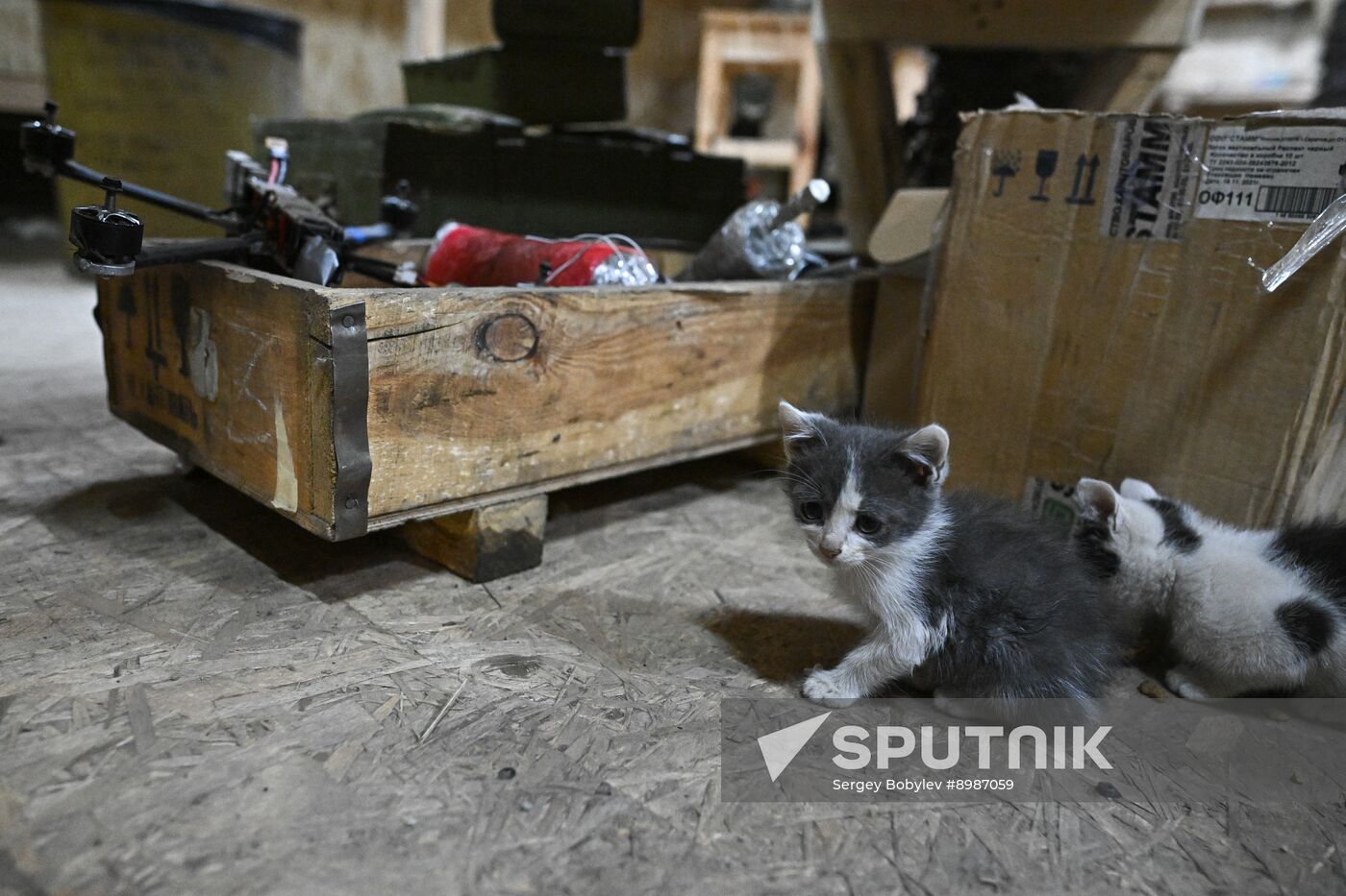 Russia Ukraine Military Operation UAVs