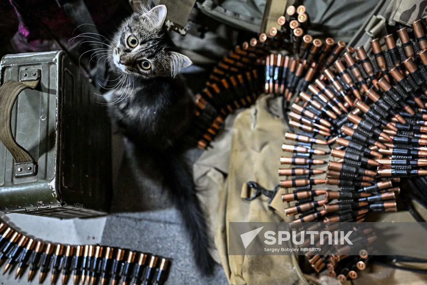 Russia Ukraine Military Operation Air Defence Team