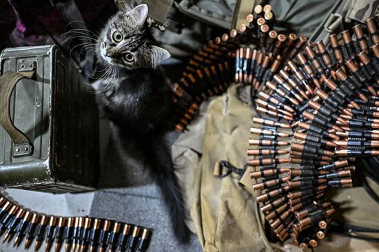 Russia Ukraine Military Operation Air Defence Team