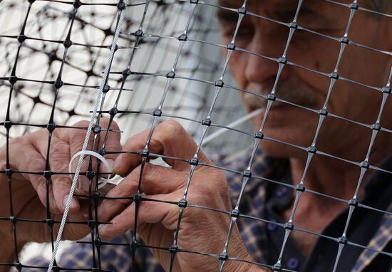 Russia Belgorod Anti Drone Netting
