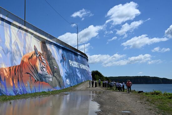 Russia Street Art