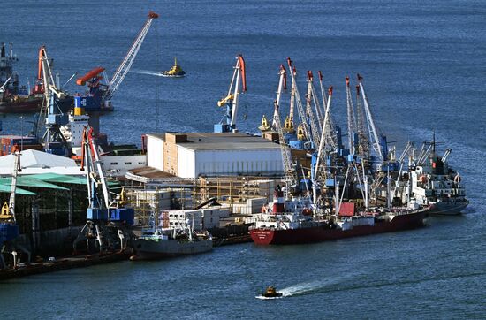 Russia Vladivostok Cityscapes