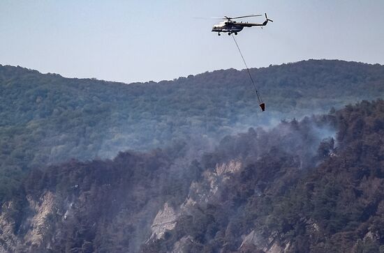 Russia Wildfires