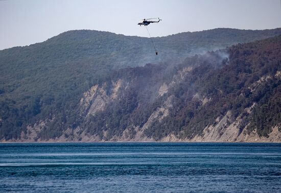 Russia Wildfires