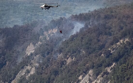 Russia Wildfires