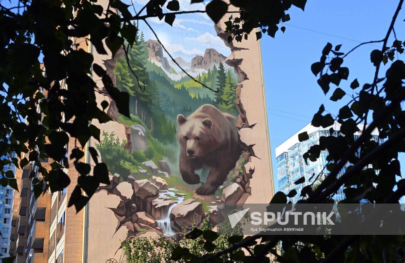 Russia Street Art