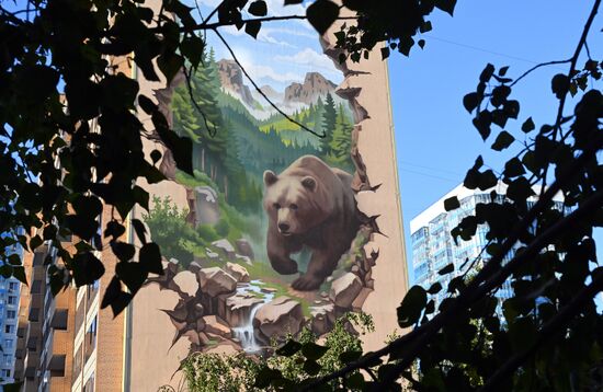 Russia Street Art