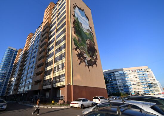 Russia Street Art