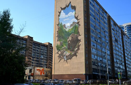 Russia Street Art