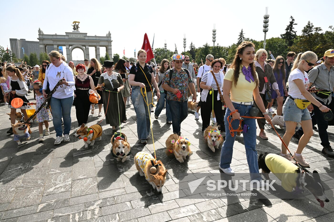 Russia Corgi Parade