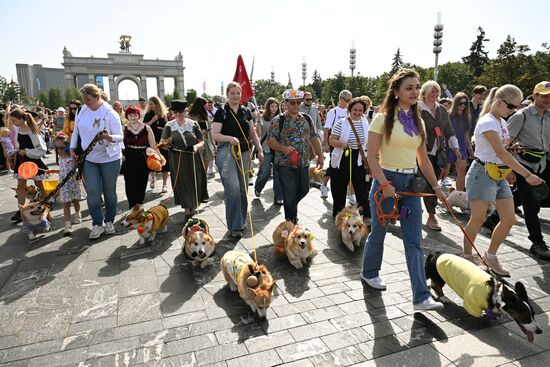 Russia Corgi Parade