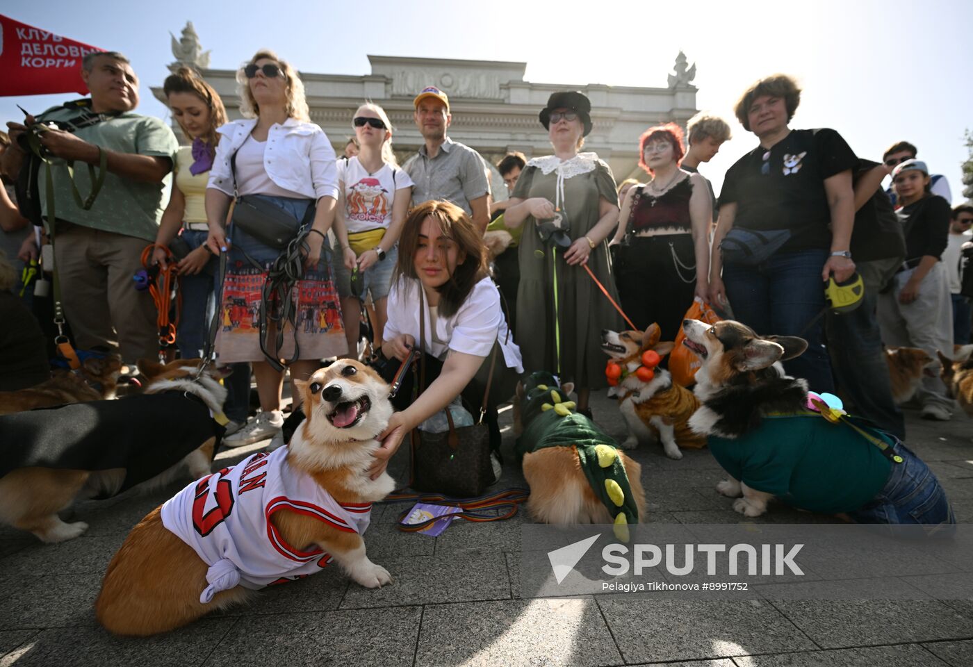 Russia Corgi Parade