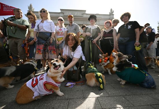 Russia Corgi Parade