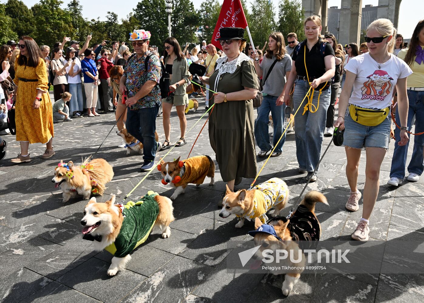 Russia Corgi Parade