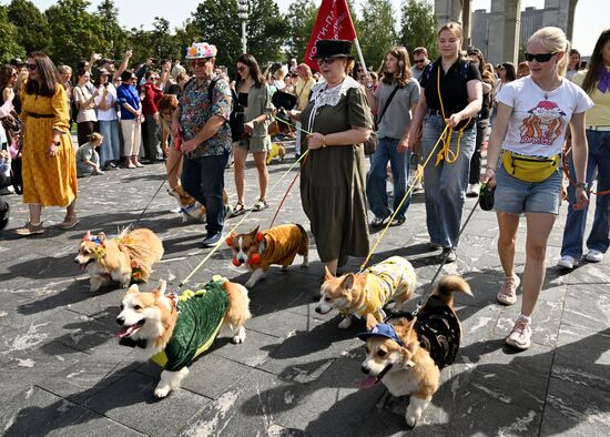 Russia Corgi Parade
