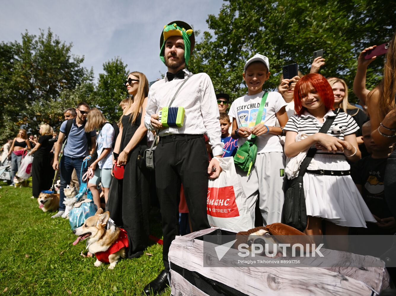 Russia Corgi Parade
