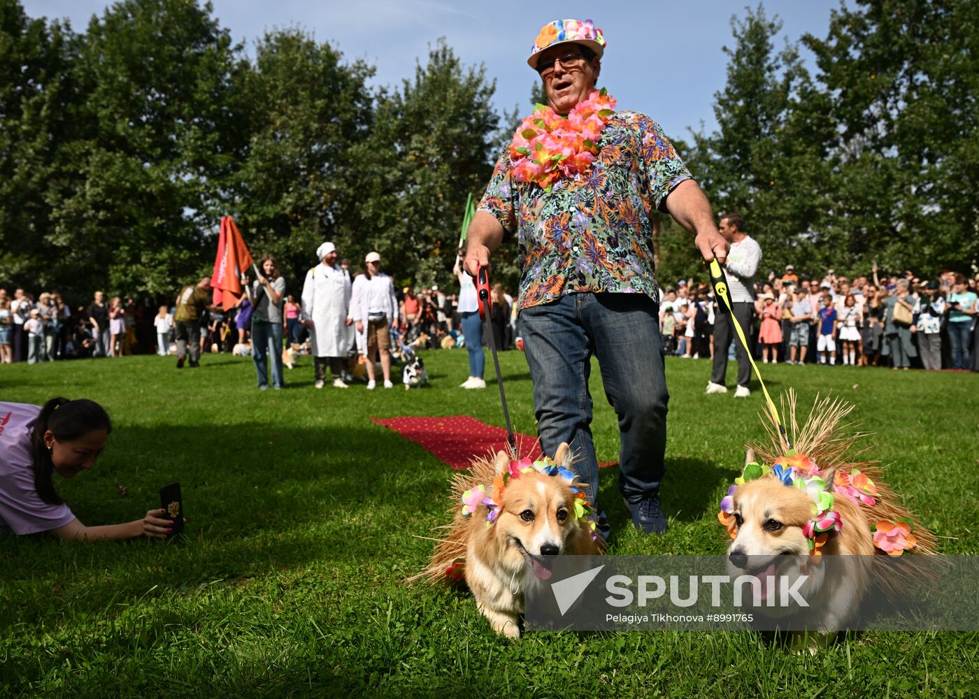 Russia Corgi Parade